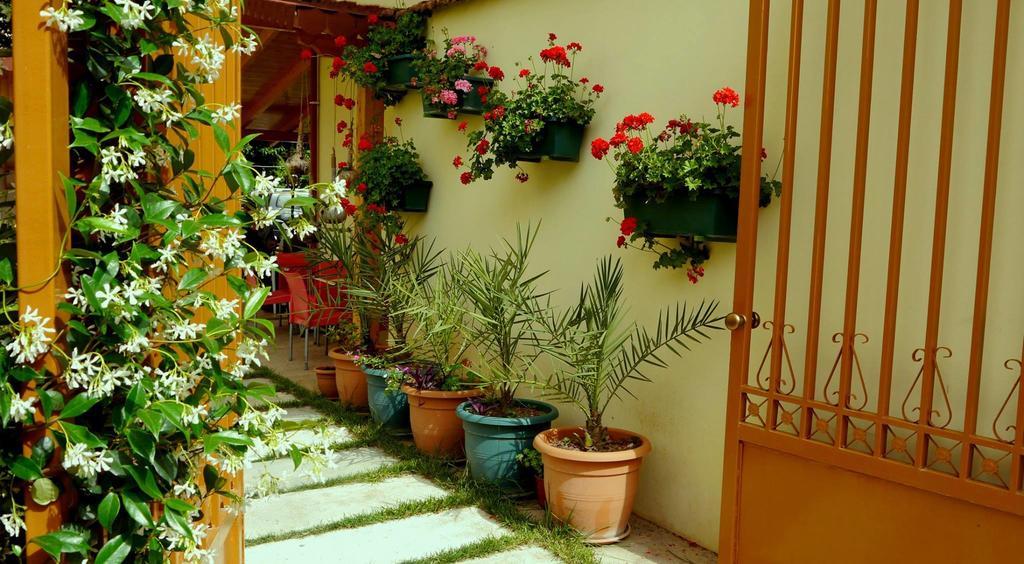 Kruja Hotel Tiranë Ngoại thất bức ảnh