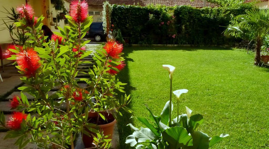 Kruja Hotel Tiranë Ngoại thất bức ảnh